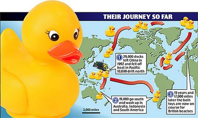 toy-duck-map.jpg