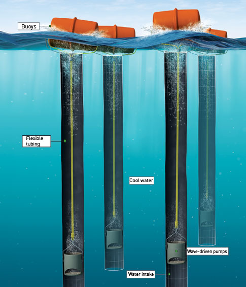 Ocean Straws - Graphics By Popscience