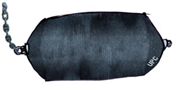 whales