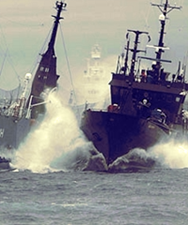 image51 Maritime Monday 200