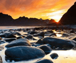 Picture-41