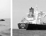 Xin Tai Hai B Oceania sinking