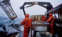 crabbing gulf of alaska crab fishing bering sea