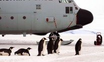 US Air Force C-130 antarctica