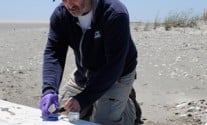 WHOI beach debris riser flotation deepwater horizon