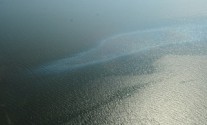 main-2-300x199 An oil sheen from the Frade oil spill.