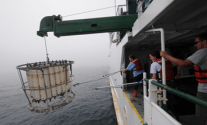 ocean nuclear fallout radiation radioactive whoi woods hole