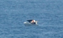 birdwatch_close_enl A zoomed-in photograph taken by a passenger aboard the Star Princess of the distressed fisherman.