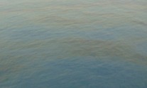 bonga_spill2_240