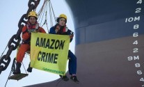 Photo (c) Greenpeace
