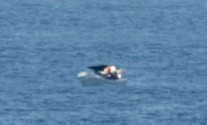 birdwatch_close_enl-300x199 A zoomed-in view of the photo taken by Jeff Gilligan. When he saw the image, Adrian Vasquez — the boat's only survivor — said, "That's us.