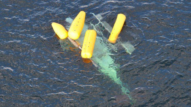 Inflatables keep a helicopter upright following a crash in the Gulf of Mexico, Oct. 9, 2013. A Coast Guard Air Station New Orleans MH-65 helicopter and crew assisted in the rescue and transport of one person. (U.S. Coast Guard photo)