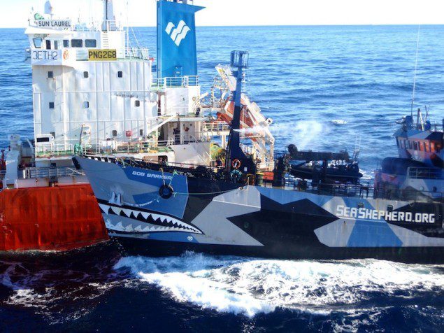 Sea Shepherd Ship Bob Barker collides with the refueling tanker Sun Laurel February 25, 2013 in the Southern Ocean REUTERS/The Institute of Cetacean Research/Handout