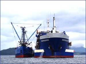 Triton Seafod Ship Dolphin Spilling Oil in Alaska
