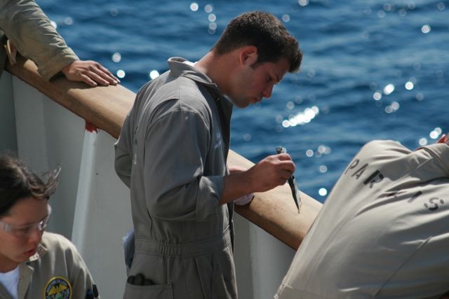Cadet Shipping - Suny Maritime