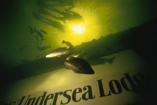  Jules Undersea Lodge