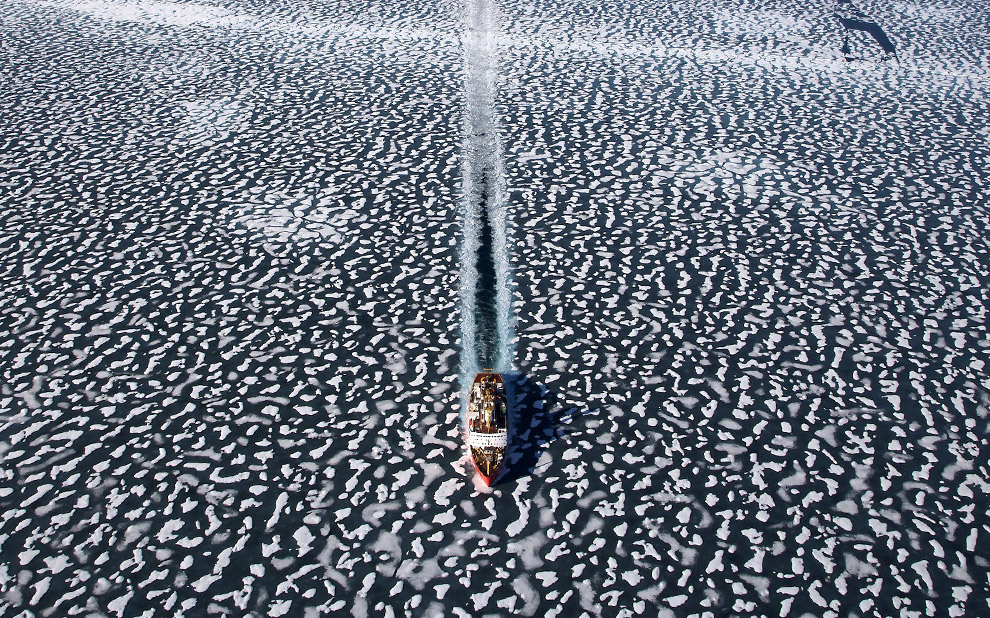 Ship In A Field Of Ice By  Yann Arthus-Bertrand 