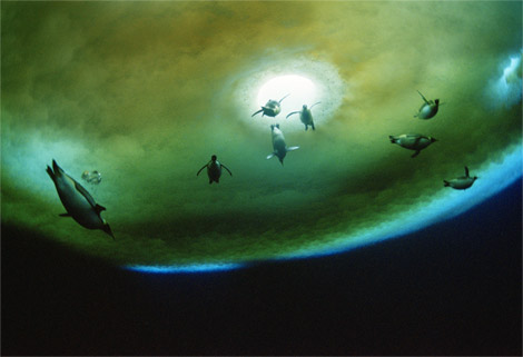 penguins-underwater-antarctica-052709-ga