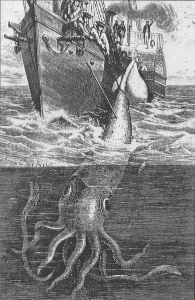 Giant Squid Attacking Ship: Artwork