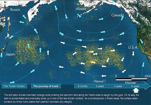 The Great Pacific Garbage Patch - Mapped