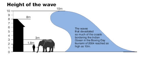 Height of a tsunami wave GCaptain