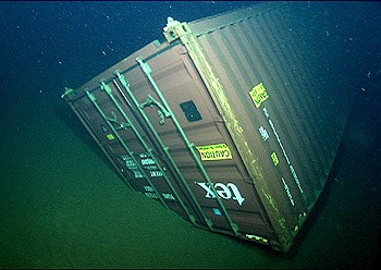 New study looks at effects of shipping containers lost at sea