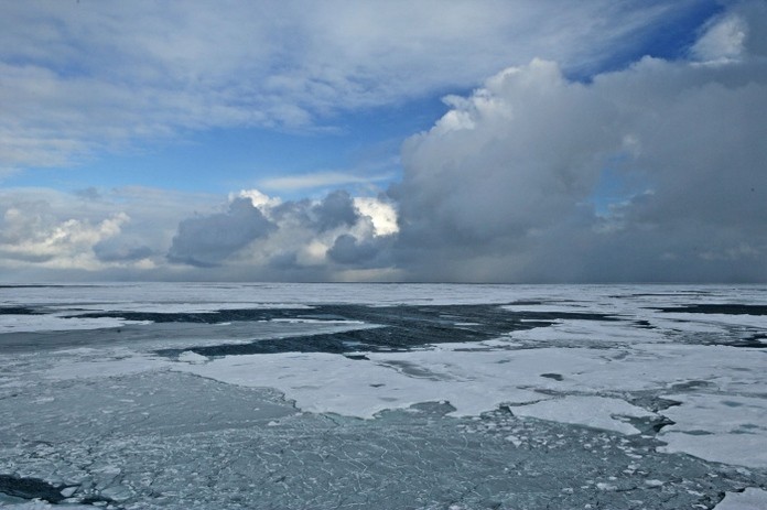 Shell US President Expects To Drill In Alaska’s Arctic In 2012