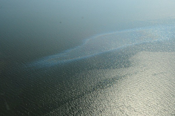 USCG: Louisiana Oil Spill Cleanup Done, Origins Still Unknown