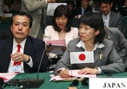 Japan Committee Considers An Official Stop To Whaling