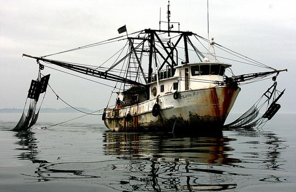 illegal fishing boat gabon trawler
