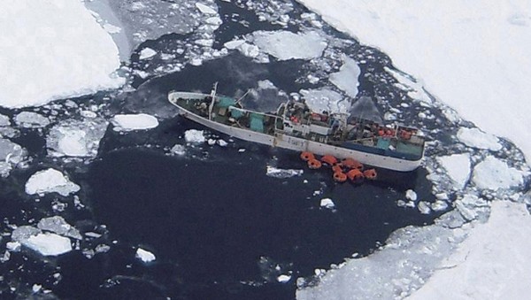 Help Arrives for Stricken Fishing Vessel Stuck in Antarctic Ice