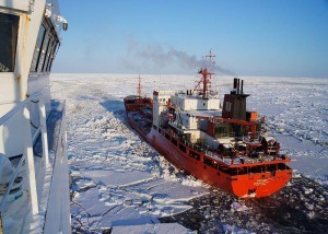 bering sea icebreaker coast guard cutter healy renda