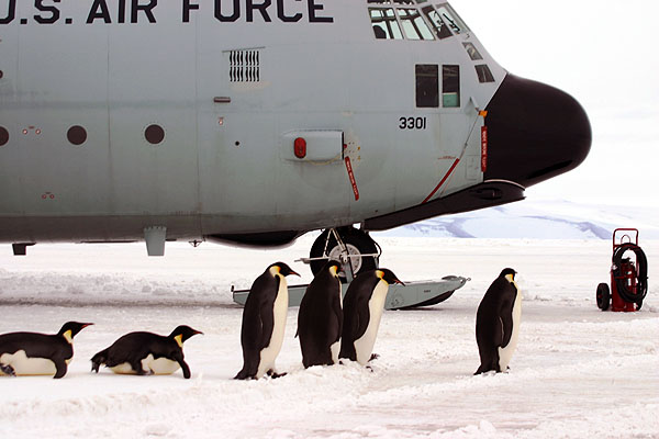 US Air Force C-130 antarctica