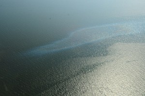 Frade Oil Spill