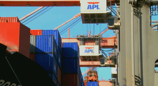 apl neptune orient lines containers shipping