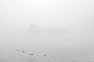 ship fog shipping lou vest oneeighteen