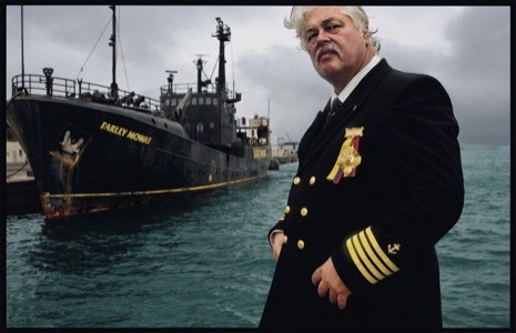Captain Paul Watson Arrested in Germany, Faces Possible Extradition to Costa Rica on Attempted Murder Charges