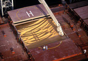 Bulk Ship Loading Grain, Image by the Port Of Seattle