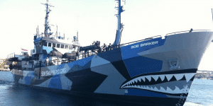 Sea Shepard Razzle Dazzle Paint Scheme