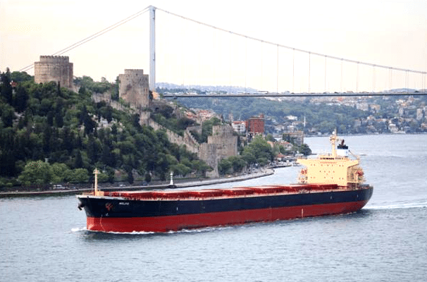 diana shipping panamax bulk carrier