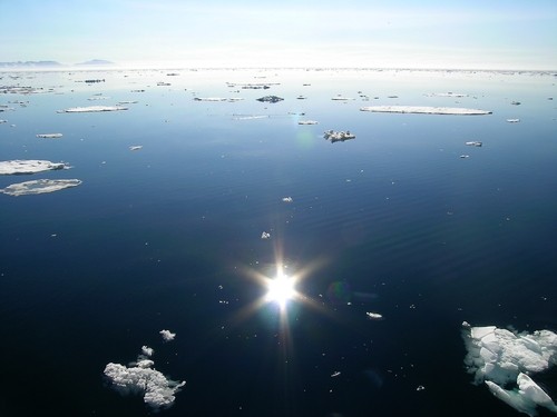 Arctic Sea Ice Melts Past Record Low