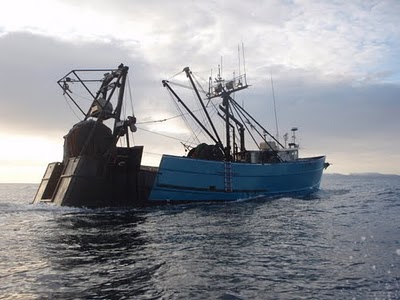 IMO Hopes To Regulate Commercial Fishing Vessels