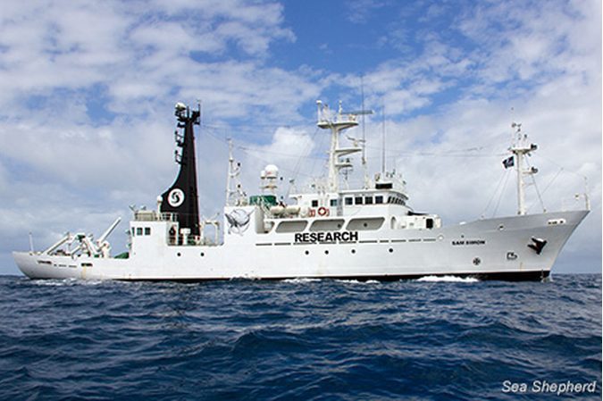 Introducing Sea Shepherd’s Newest Old Ship, SSS Sam Simon