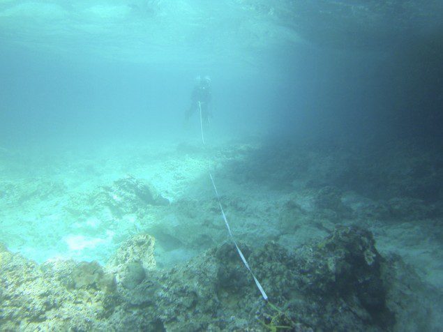 A diver from Philippine Coast Guard measures coral damages after USS Guardian ran aground at the Vicinity of South Islet in Tubbataha Reefs