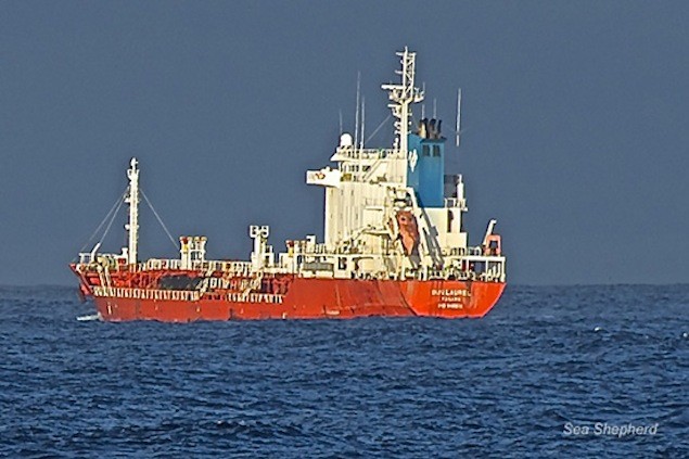 Sea Shepherd: We’ve Severed the Whaler’s Fuel Supply