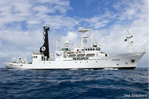 Australian Authorities to Investigate Sea Shepherd Over Southern Ocean Antics