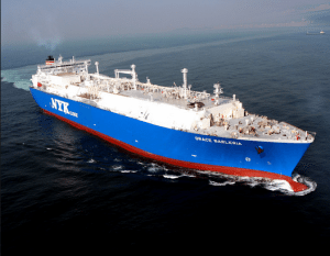 M/V GRACE BARLERIA
