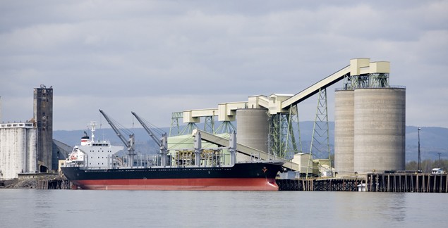 grain ship bulk carrier export dry cargo