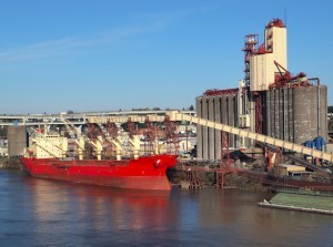 bulk carrier grain dry cargo ship