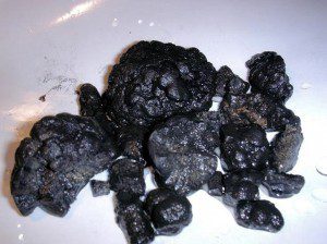 Polymetallic nodules taken from the bottom of the Pacific.